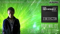 Adrenalize Forest Interlude