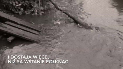 Depeche Mode - Pleasure Little Treasure (Tłumaczenie PL)