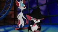 Pinky i M&oacute;zg 03 (Dubbing PL)