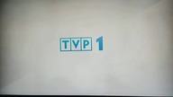 T\/P 1 - oczekiwanie na transmisję,pauza,bufor? (21. 11. 2020)[fragment]
