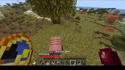 Little armadillo #minecraft #game #gaming #Cute #Short #Shorts