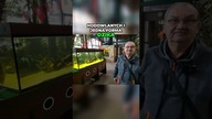 8 wyjątkowych akwariów na wystawie! Zobacz te kolory!