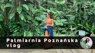 Roślin do mieszkania - gdzie szukać idealnych roślin domowych ? Domowa dżungla cz 2.