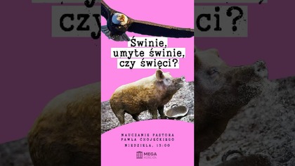Świnie, umyte świnie, czy święci?  #NauczaniePastora DZIŚ o 13:00! #egoizm #moralność #Biblia