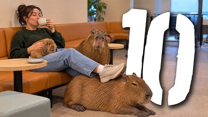 10 atrakcji ze zwierzętami, których należy unikać [TOPOWA DYCHA]