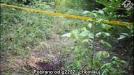 Medycyna Sądowa (Akta Zbrodni) - Czyste Zło