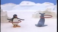 Pingu (Odcinek 11) - Pingu chce walczyć z foką
