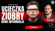 TEN RUCH ZIOBRY MOŻE GO DROGO KOSZTOWAĆ? TULEYA O ZEZNANIACH
