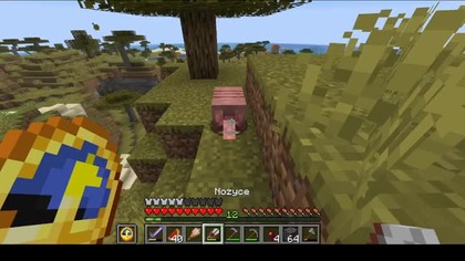 So thats what this brush is for #minecraft #game #gaming #Short #Shorts #Bruh