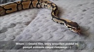 Od Węża do Smoka - legendy i podania