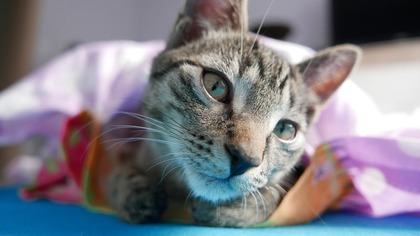 ŁÓDŹ, UNIEJÓW CZY POZNAŃ? :)