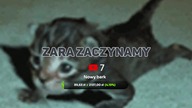 Kapitan kremówka vs Arkusz z matematyki podstwowej dzień 2