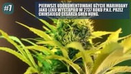 10 fakt&oacute;w o marihuanie