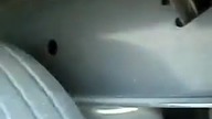 Pasażer na gape