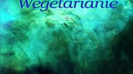 Wegetarianie