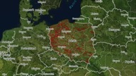 Trwa wycinka Polski.  English lasy znikają