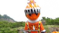 ToQGer - DVD
