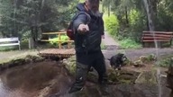 Arboretum Lądek-Zdrój #shorts #nature #botanical #garden Strumyk #shorts #shortsvideo