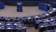 BRAUN USADZIŁ CHAMSKIEGO EUROPOSŁA W UE!