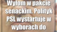 Wyłom w pakcie senackim.  Polityk PSL wystartuje w wyborach do Senatu