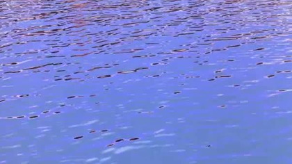 Shaolin. Soccer. (2002). Lektor Pol. 480p