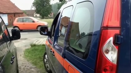 Atak z kotem w koszu, czyli Pan Emil interweniuje