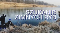 274 SZUKANIE ZIMNYCH RYB W RZECE