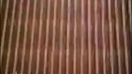 Viva Zwei - Bumper Clips mit Viva Planet auf Music Box Polska (2001-2002)