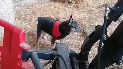 271ce79b-a1a3-4c09-bb16-87a21031aa26