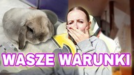 OCENIAM WARUNKI WASZYCH KRÓLIKÓW #7