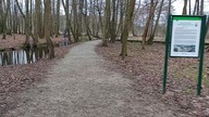 [Konstancin-Jeziorna] Parkowe pomosty na bagnach
