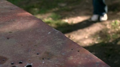 Ogród (2006) Lektor PL