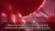 Cała prawda o GMO