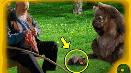 Ranna niedźwiedzica przyniosła umierające młode do tego mężczyzny, a potem stało się to...