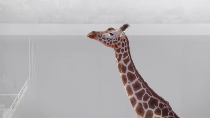 Nick Jr.  - Fragment animacji Athleticus, spot i ident (05. 03. 2022)