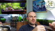 Czy poleciłbym zrestartowanie tego akwarium ?? 180l Akwarium Kornela.  Wasze zbiorniki.