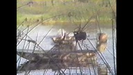 Potwór Z Bagien... VID-1742398248453