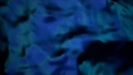 WYPASIONA WKRĘTKA (2001)