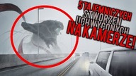 5 TAJEMNICZYCH STWORZEŃ UCHWYCONYCH NA KAMERZE
