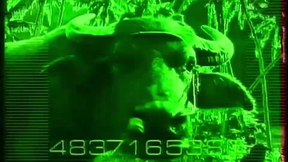 SVT2 - Promos + studio + Lotto + part of tvärsNytt (08. 1999)