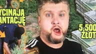 WAŻNY KOMUNIKAT odnośnie nowego WeedWeeka