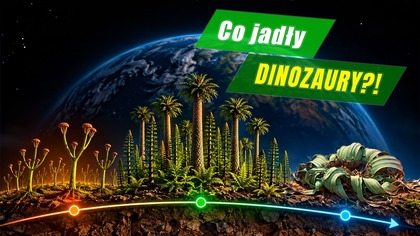 Ewolucja roślin  od pierwszych glonów do lasów i kwiatów? - Historia Ziemi #10
