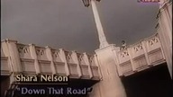 Shara Nelson - Down That Road (Rare BET Version)