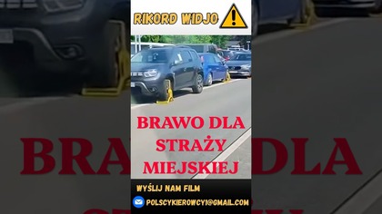 Piękny widok, brawo SM!  #strażmiejska #polscykierowcy #shorts #polska #viral #youtubeshorts
