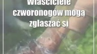 Świdnik: Posprzątaj po swoim psie