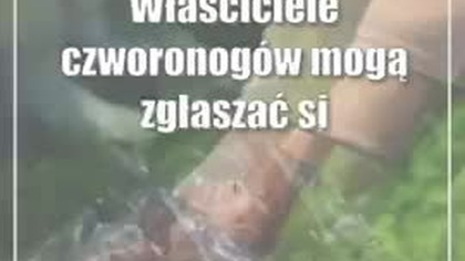 Świdnik: Posprzątaj po swoim psie