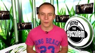Gdzieś to już słyszałem #5: Ile oryginalności w Pitbullu?!
