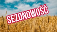 Wskaźniki sezonowości | #Dodatek 1 Kurs Analizy Technicznej