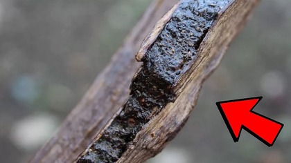 Naturalne Substancje Cenniejsze Niż ZŁOTO