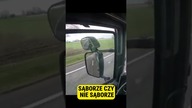 SĄBORZE CZY NIE SĄBORZE..